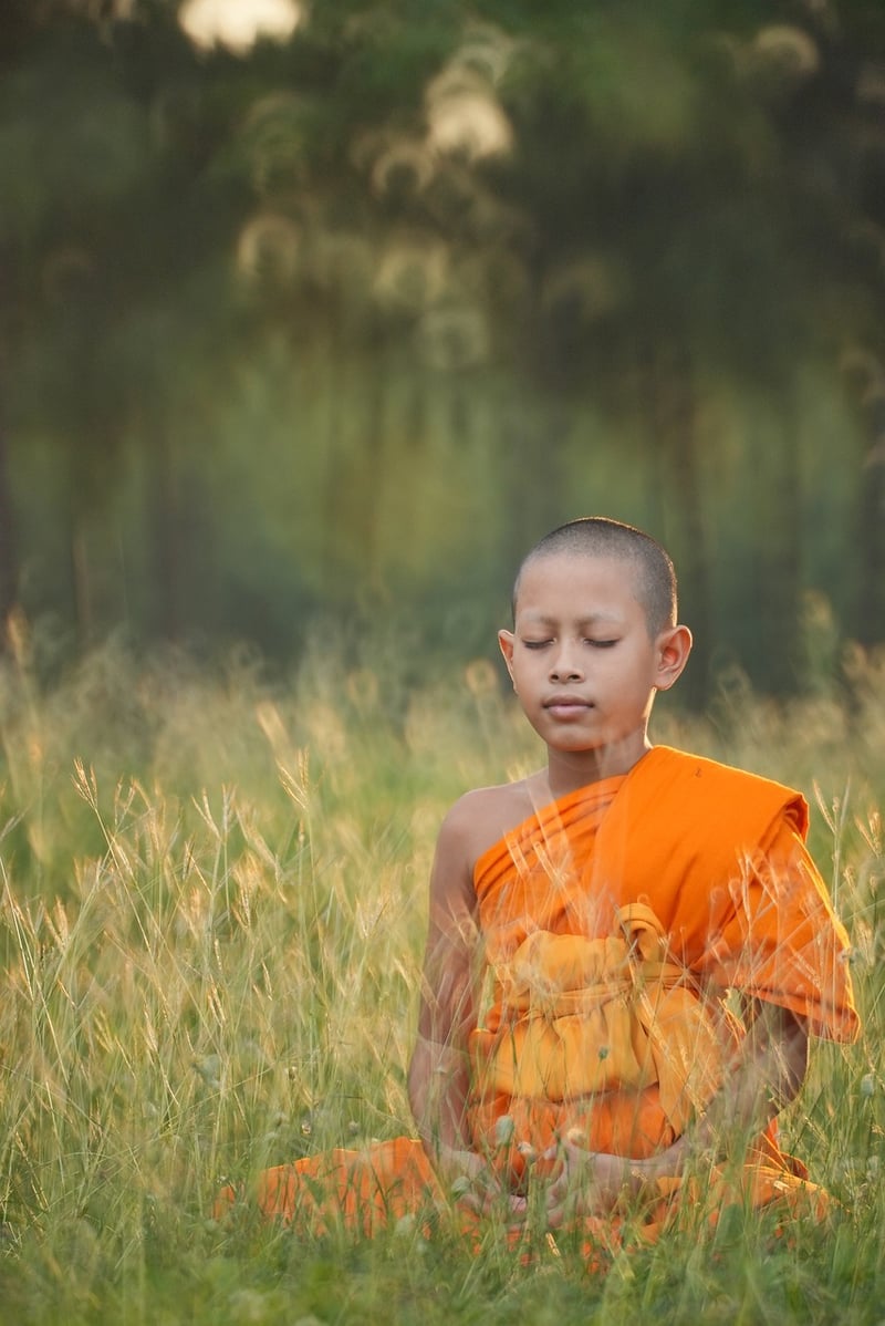 Sun Salutations Image